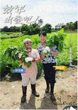 土豆动漫泡面番我的邻居是只猫海报